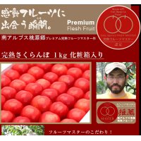 小野洋蘭果樹園さくらんぼ紅秀峰化粧箱詰特選1kg