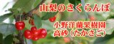 画像: 小野洋蘭果樹園さくらんぼバラ800g