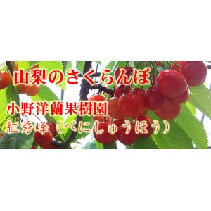 画像: 小野洋蘭果樹園さくらんぼ　紅秀峰バラ　LLサイズ1kg